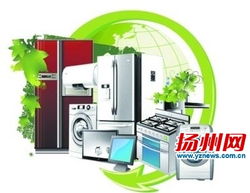 新能效標準落地，家電市場迎來綠色升級與消費新格局